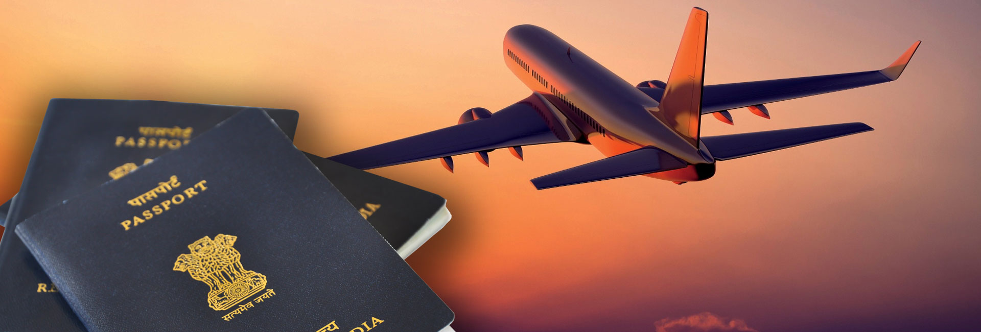 Passport Agent & Consultant